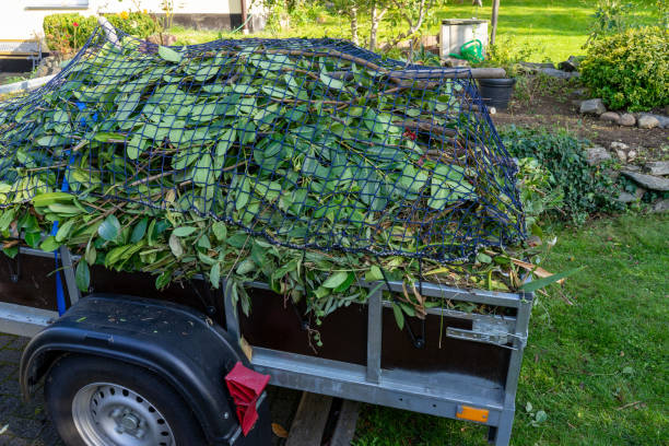 Professional Junk Removal Services in Vinton, TX